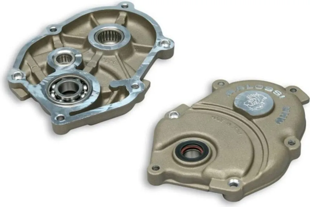 Boîtier Variateur de Compétition Malossi MHR Team pour Scooter Minarelli 50