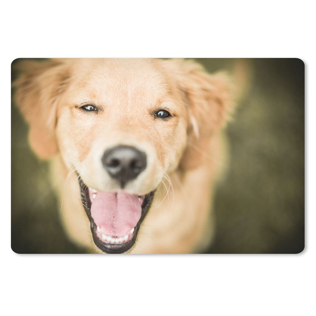 MuchoWow Mauspad Mousepad Das Glitzern in den Augen dieses Labrador Retrievers 27x18 cm - Mousepads - Maus Mat - Pad - Mausunterlage - Büroartik...
