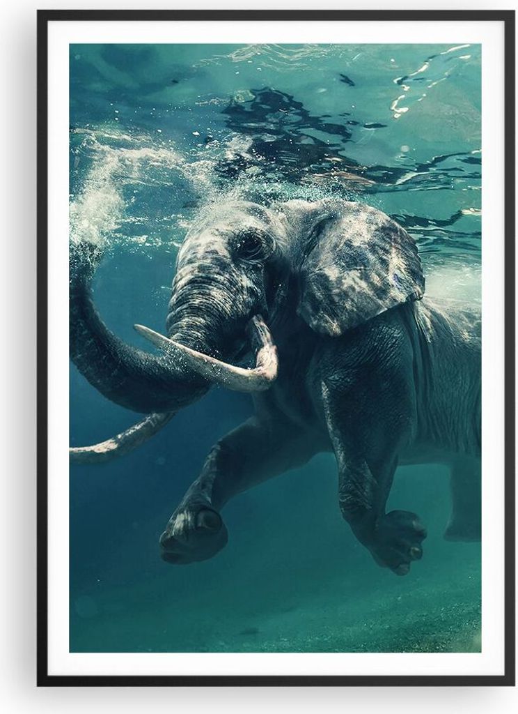 Gerahmtes Poster - Schwarzer Rahmen - Elefant Tier Wasser - 70x100 cm - Wand Bild - Wanddeko - Wandbilder - Kunstposter - Wandposter - Bilderrahmen...