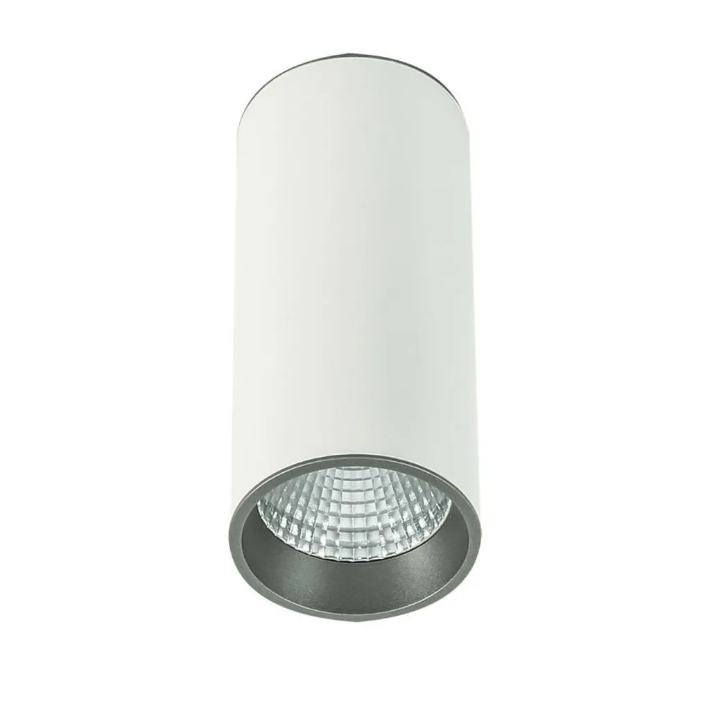 Spot LED Saillie Italux SLC7392 12W 4000K Tube Blanc Finition WH+GR
