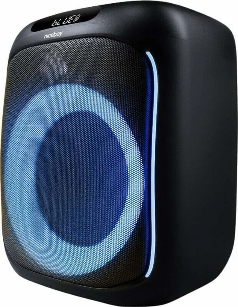 Enceinte de soirée Niceboy PARTY Boom 80W portable avec entrée microphone