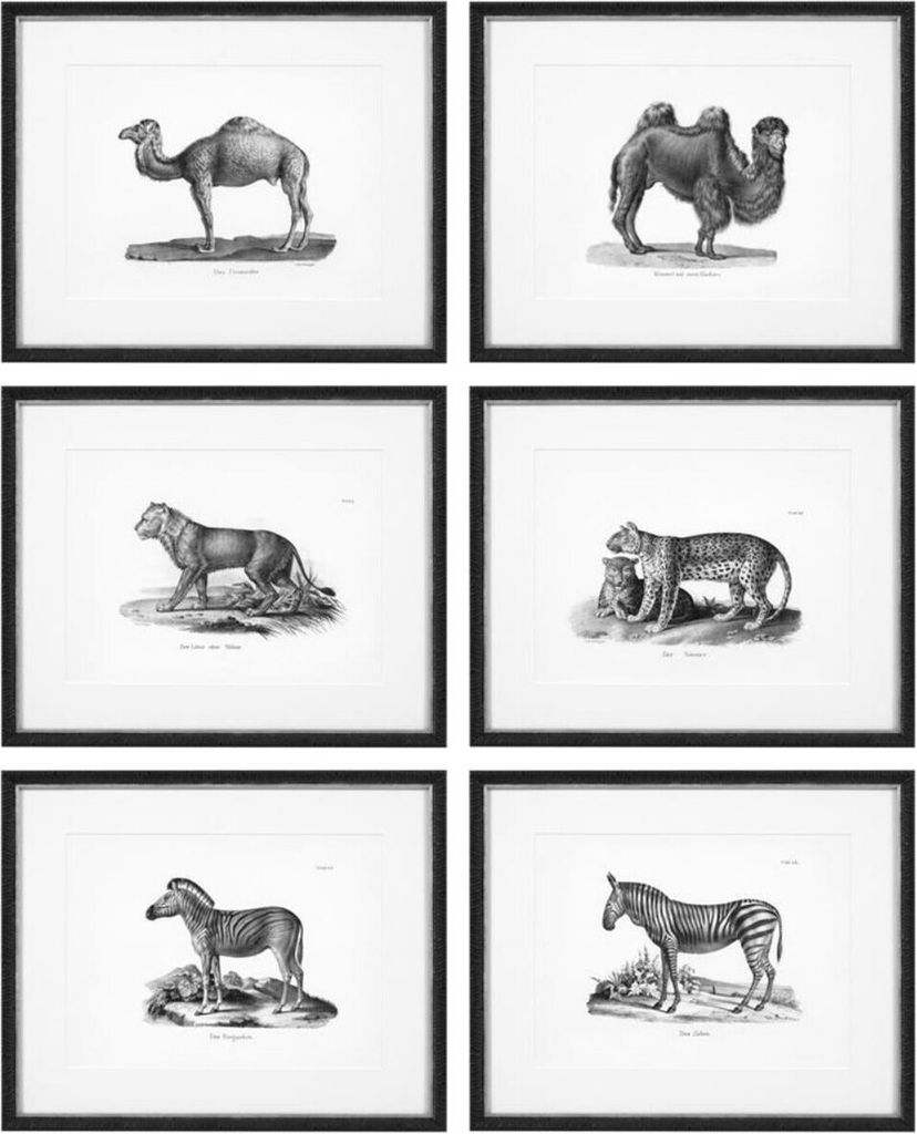 Casa Padrino Bilder 6er Set Historische Tiere Schwarz / Weiß 53,5 x H. 43,5 - Luxus Kunstdrucke mit Holzrahmen