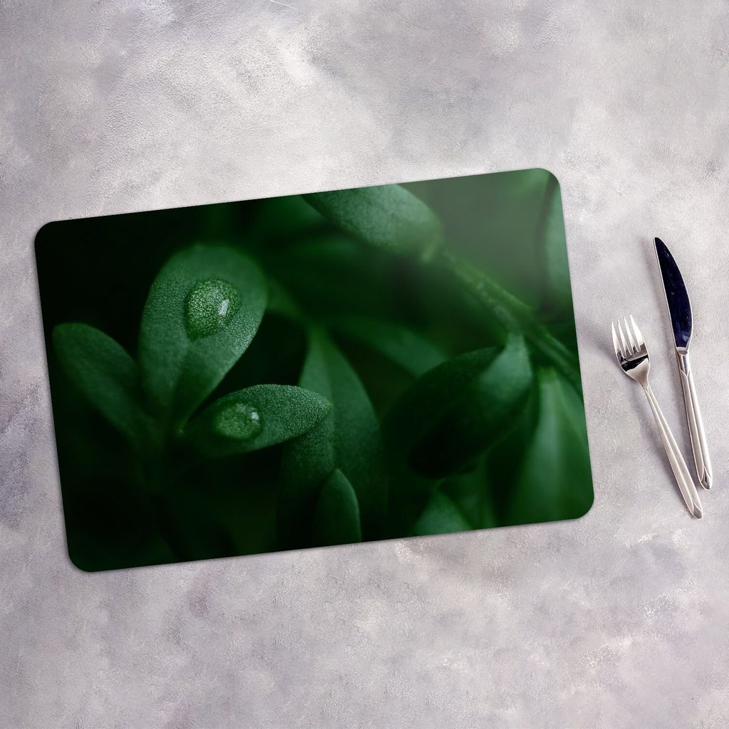 Tischset 6x45x30 cm + 6x10fi cm Platzset Tischmatte Platzmatte Untersetzer - mikrogrüne Blätter