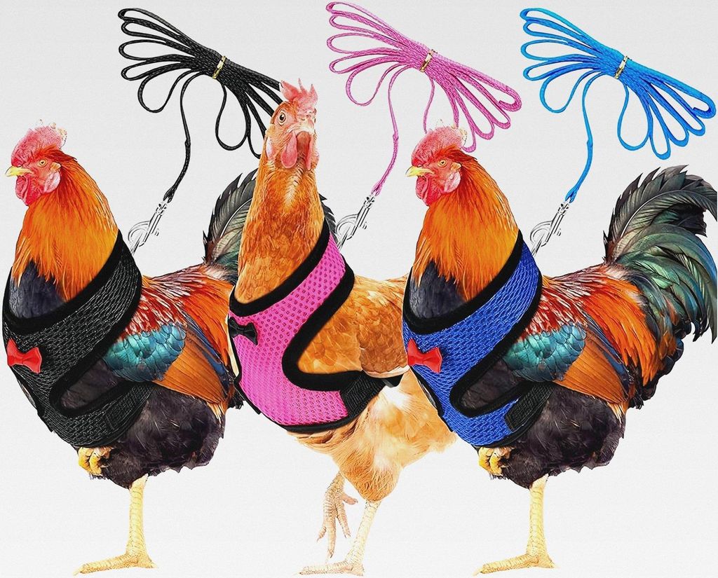 Hühner-Geschirr mit Leine, 3 Stück Hühnergeschirr Verstellbares, Atmungsaktiv, für Ente, Gans, Henne, für Lauftraining, Größe M