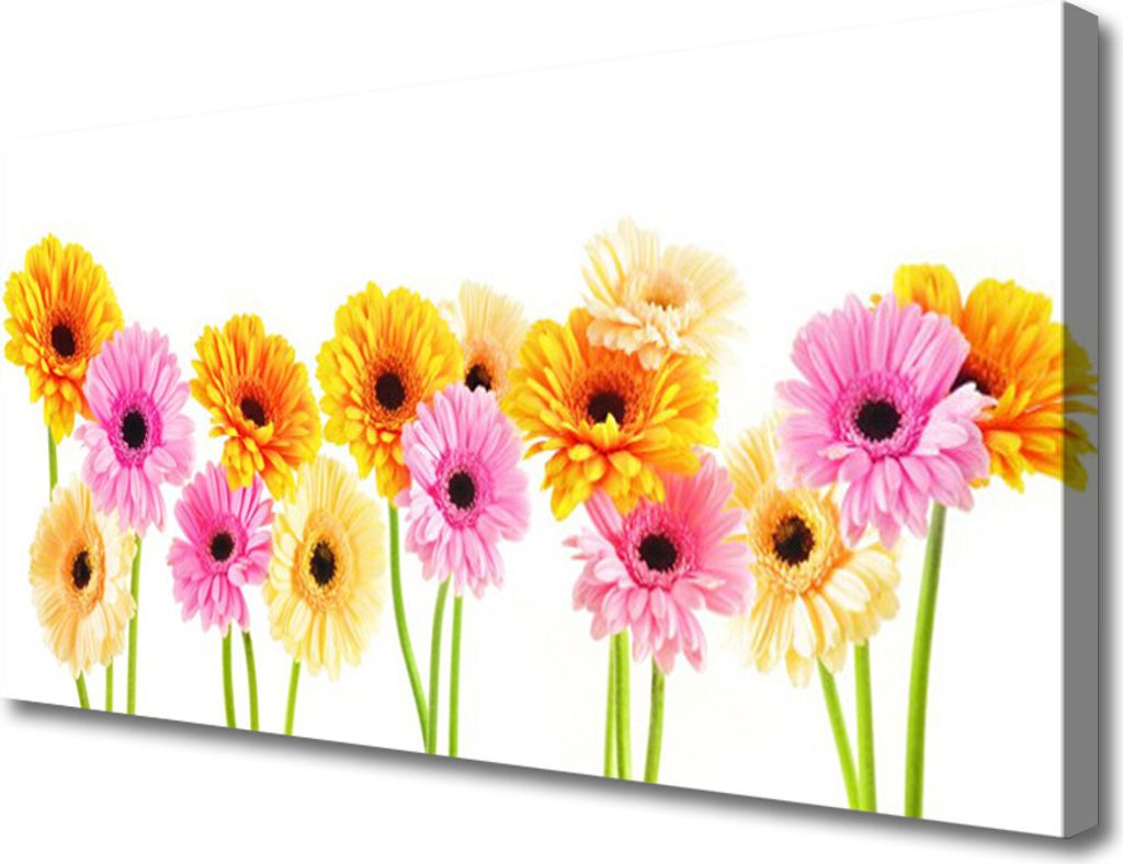 Tulup Leinwand-Bilder 100x50 Wandbild Canvas Kunstdruck Blumen Pflanzen