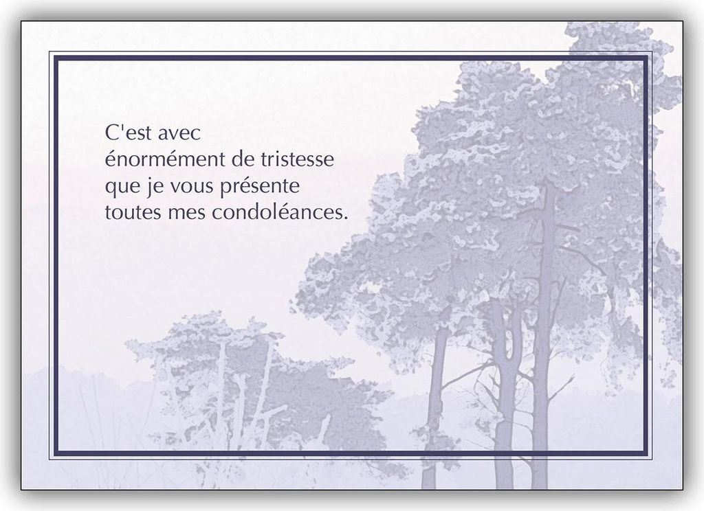 Französische Trauerkarte mit Landschaft: C’est avec énormément de tristesse...