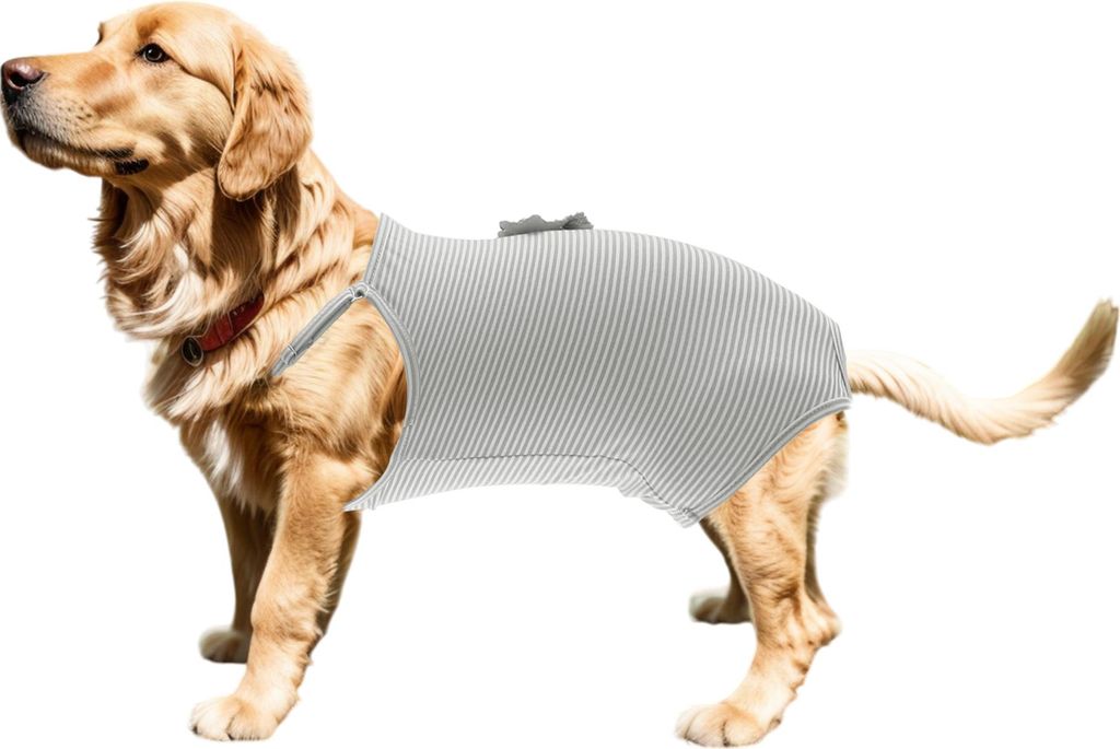Hundewindeln, physiologische Hosen mit verstellbarem Riemen, Overalls, Hosenträger, waschbar, wiederverwendbar, für kleine, mittelgroße Hunde un...