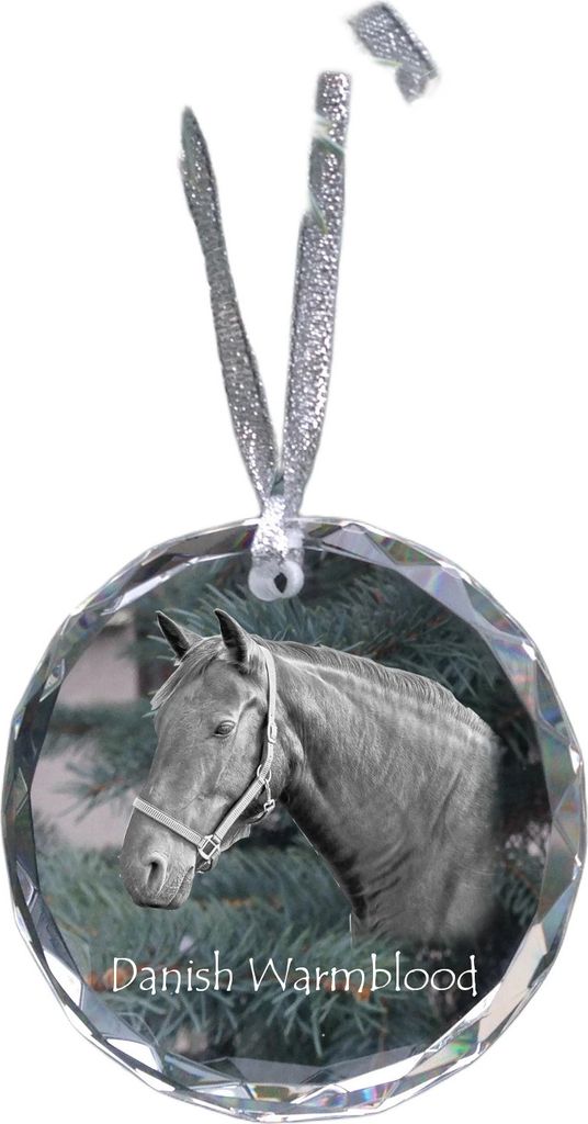Dänisches Warmblut - Kristallkugel mit einem Foto, Pferdefoto im Kristall, personalisierter Weihnachtsbaumanhänger von der Marke Art-Dog