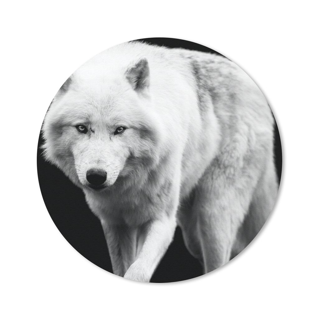 MuchoWow Mauspad Mousepad Wolf - Tier - Schwarz - Weiß 20x20 cm - Mousepads - Maus Mat - Pad - Mausunterlage - Schreibtischmatte