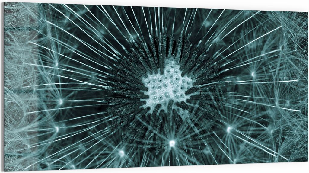 DEQORI Glasbild Acryl 100x50 cm 'Mystische Blüte' Wandbild Bild modern Deko