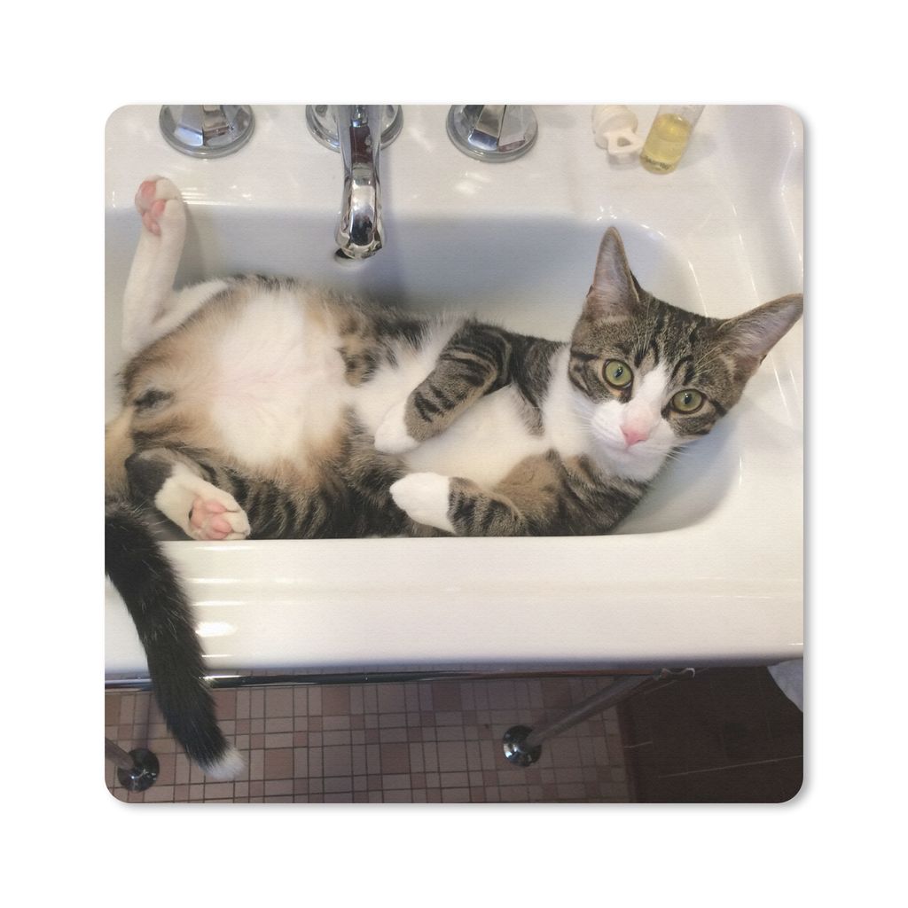 MuchoWow Mauspad Mousepad Katze - Waschbecken - Badezimmer 20x20 cm - Mousepads - Maus Mat - Pad - Mausunterlage - Desk Mat - Bureauartikeln