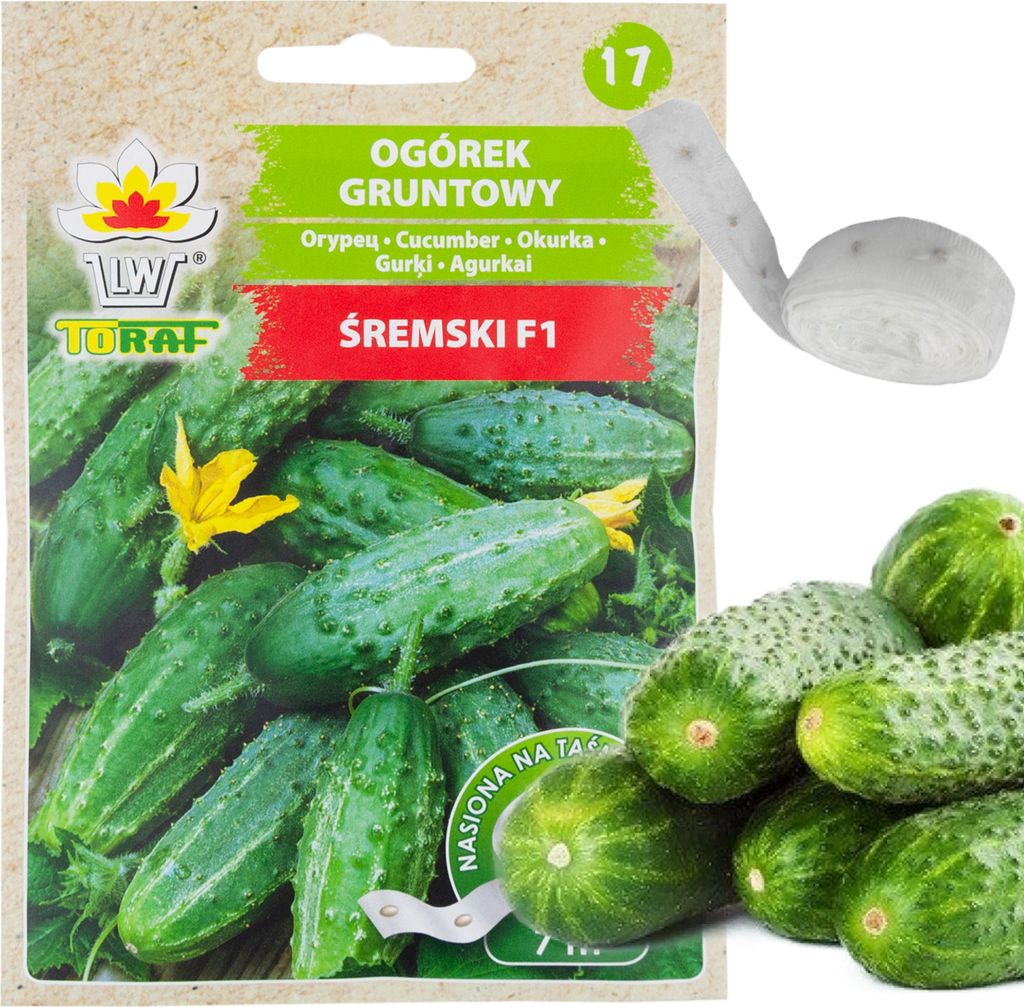 Srem Gurke Auf Saatband 7M Saatgut Produktiv Produktbild 