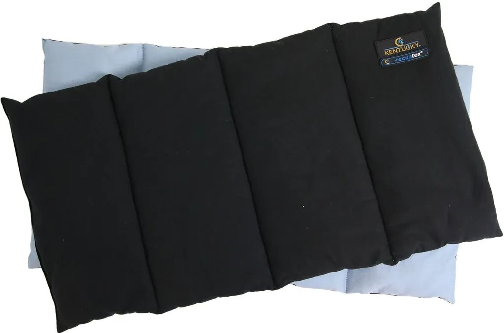 Tapis Recuptex Kentucky Magnétique Noir : Technologie Inox et Confort