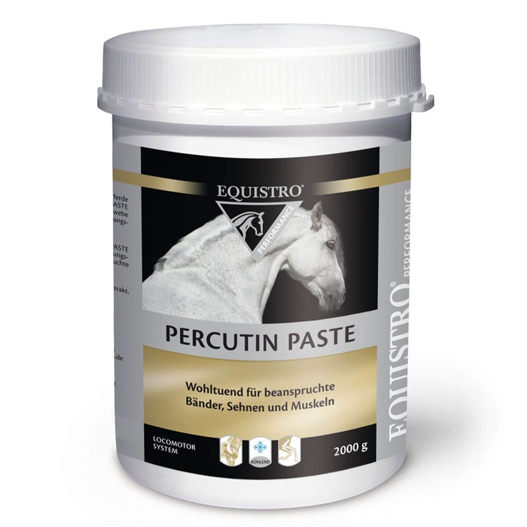 Equistro Percutin Paste äußerlich vet. 2 kg