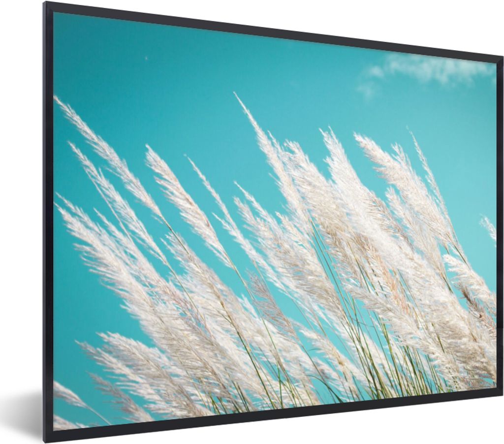 MuchoWow Gerahmtes Poster Pampasgras - Pflanze 80x60 cm - Poster mit Schwarzem Bilderrahmen Wandposter Rahmen Foto Bilder - Schwarzem - Mit Gestell