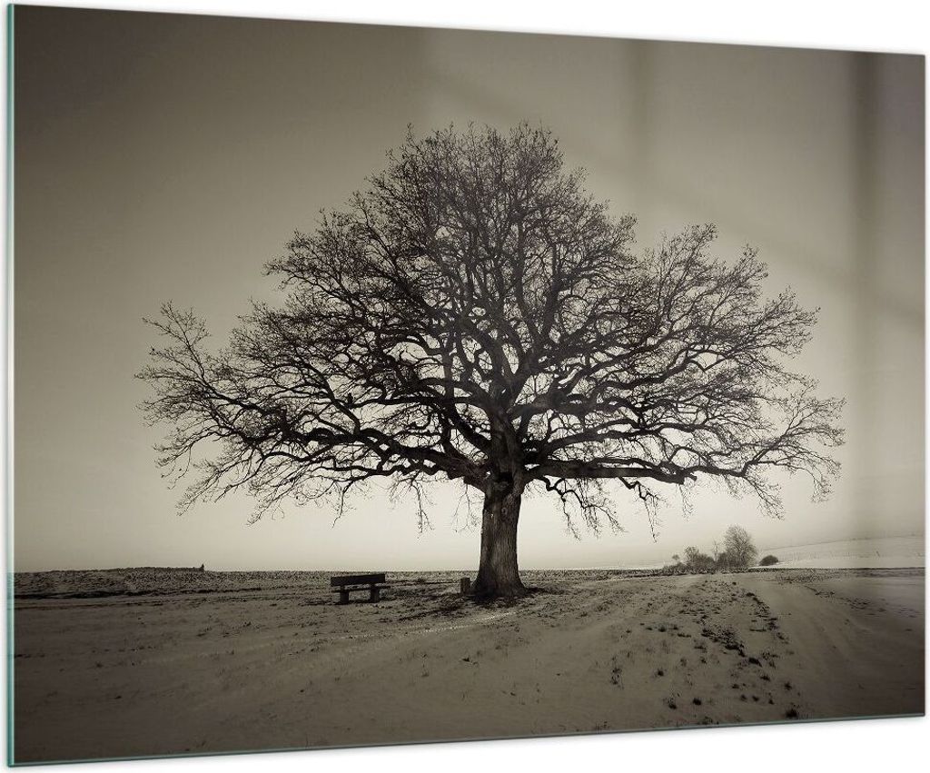 Bilder auf glas - Einteilig - Baum Schnee Sepia - 100x70cm - Glasbilder - Wandbilder - Bilder - zum Aufhängen bereit - Wanddekoration aus Glas - G...