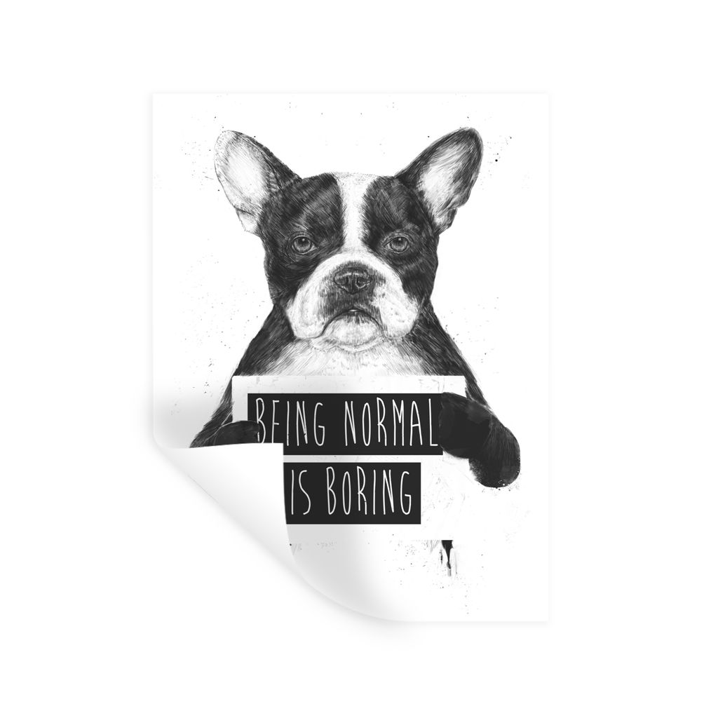 MuchoWow Wandtattoo Wandsticker Wandaufkleber Hund - Zeichen - Text - Tiere 30x40 cm Selbstklebend und Repositionierbar - Sticker - Dekorfolie