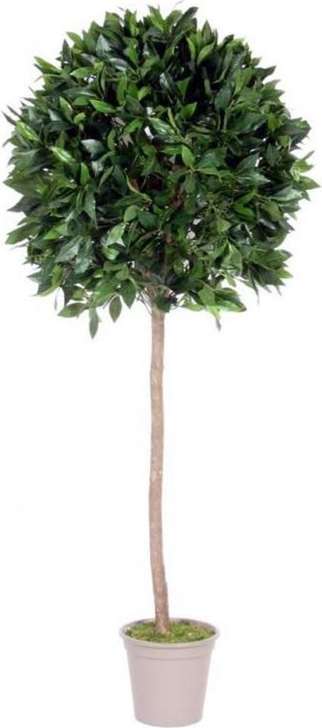 artplants.de Deko Kirschlorbeer Kugel JUROTSCHKA, Echtstamm, Früchte, 125cm, Ø45cm - Italy - Künstlicher Kirschlorbeer
