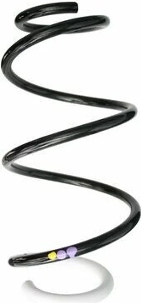 Ressort de suspension SPIDAN 87873 pour Renault Captur I J5 H5 540103769R