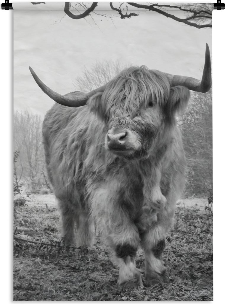 MuchoWow Wandteppich Wandbehang Schottischer Highlander - Wald - Nebel - Kuh - Tiere - Natur 90x135 cm Tapisserie Dekoration Wandtuch - Baumwolle...