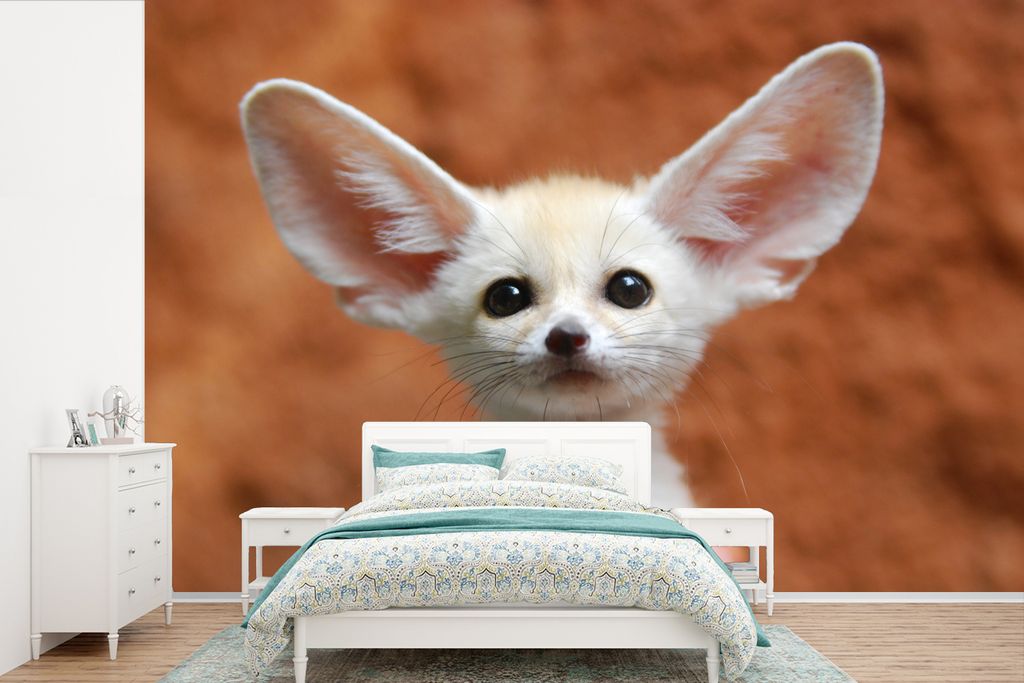 MuchoWow Fototapete für Wohnzimmer oder Schlafzimmer Wandtapete Vinyl Motivtapete Wüstenfuchs - Baby - Tiere - 420x280 cm - Zimmer für Kinder