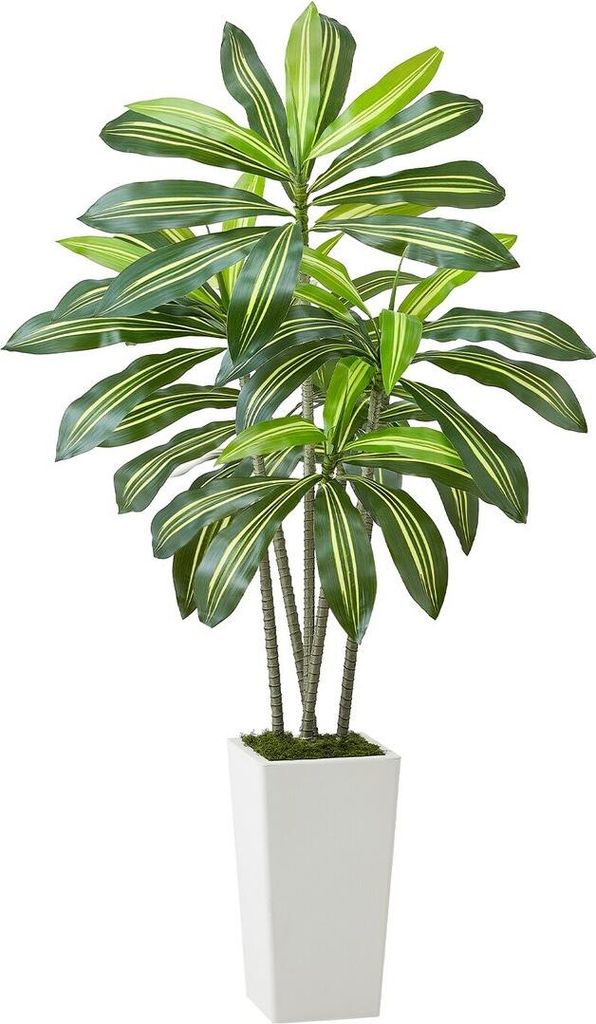 1524 mm künstlicher Dracaena-Baum, Kunstpflanze mit weißem Übertopf, für den Innenbereich