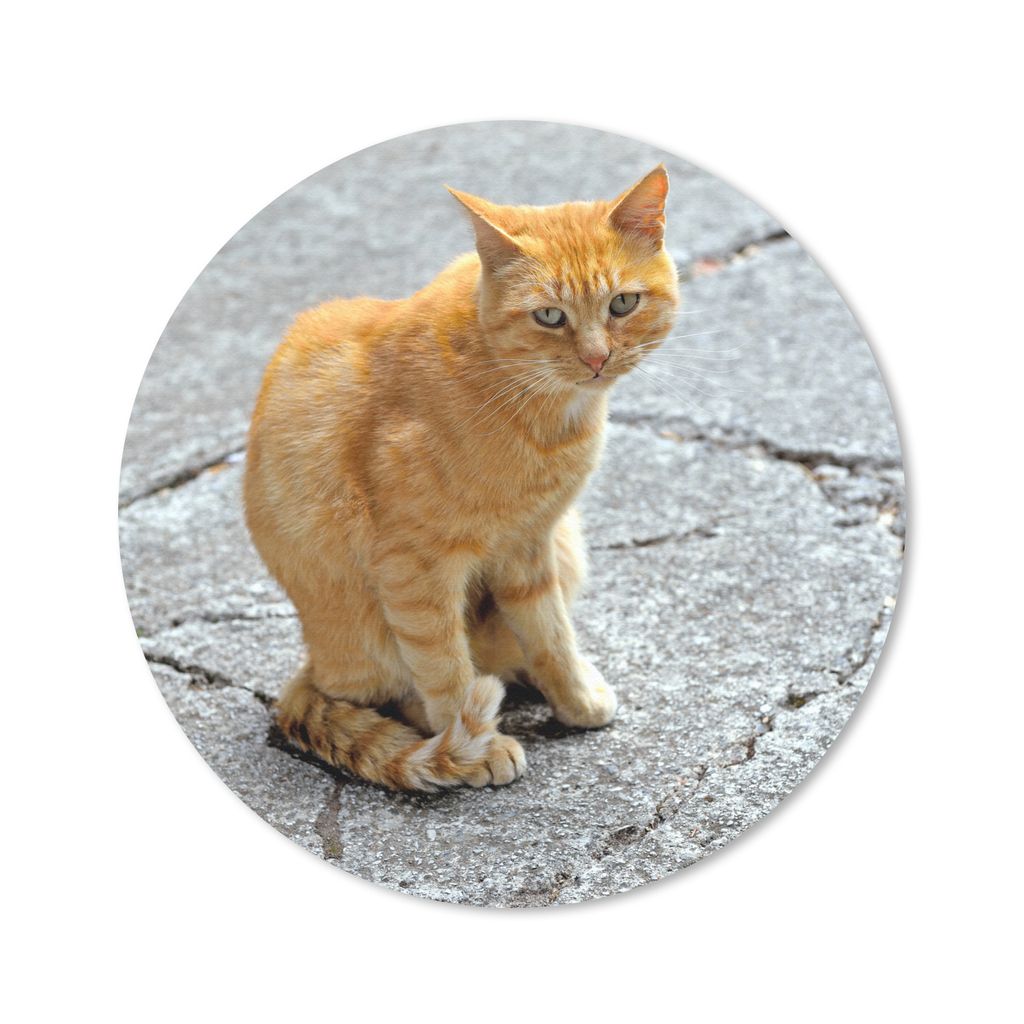 MuchoWow Mauspad Mousepad Katze - Rot - Straße - Mädchen - Kinder - Jungen - Kind 20x20 cm - Mousepads - Maus Mat - Pad - Mausunterlage - Schre...