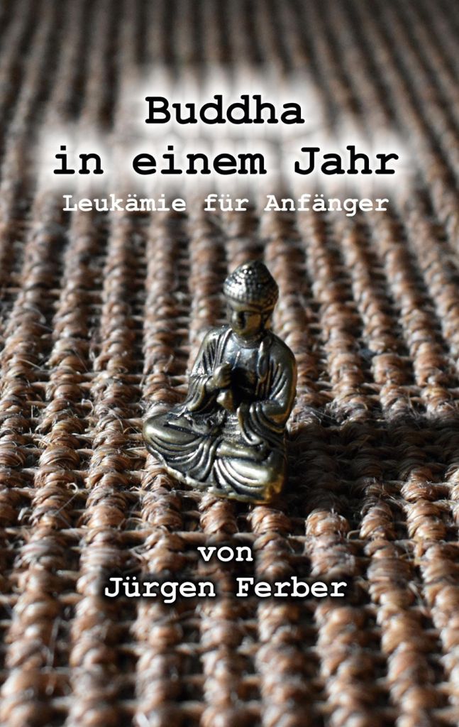 Buddha in einem Jahr
