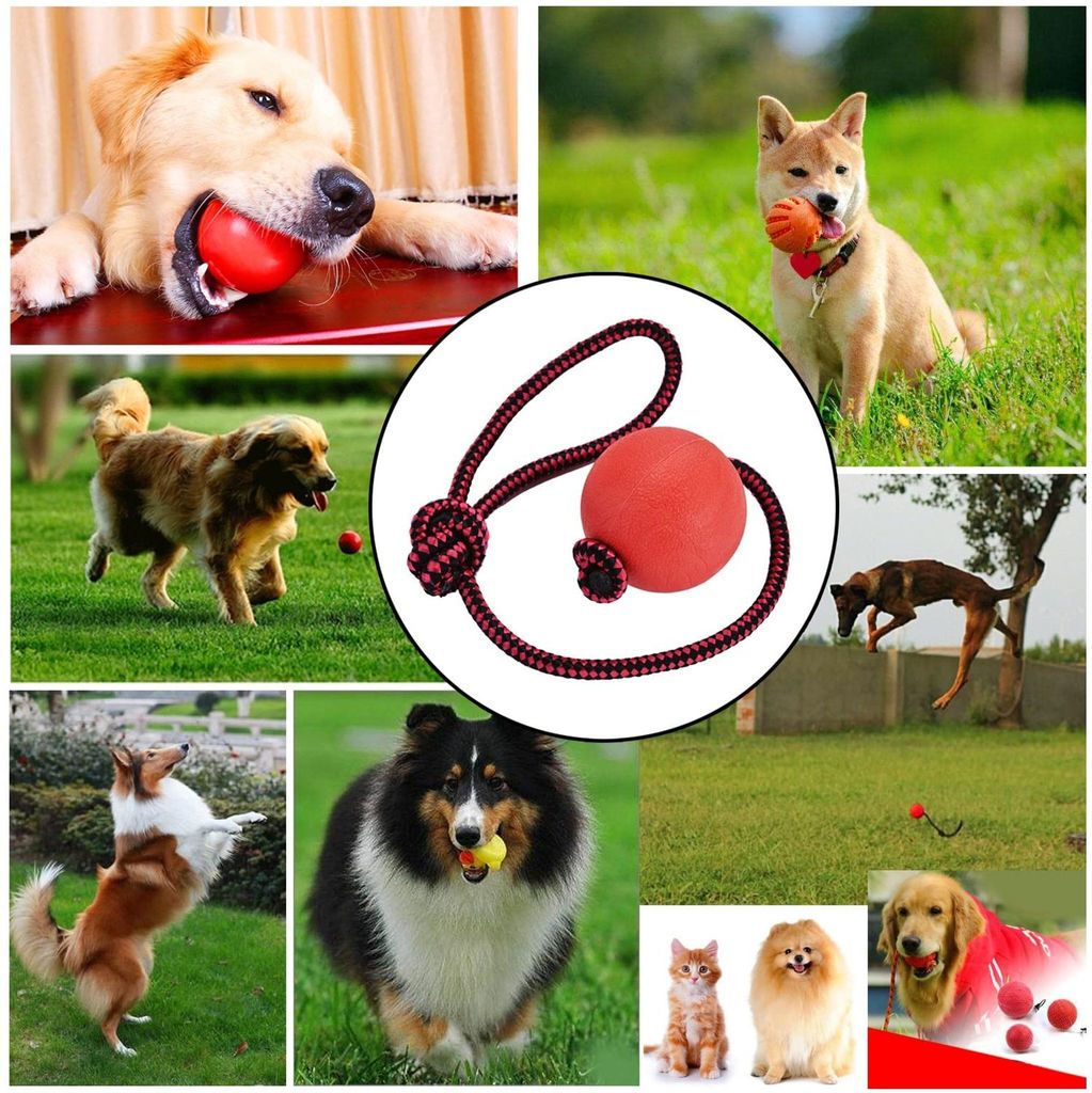 Wurfball Hund, 3 Stück Elastische Hundespielzeug Ball mit Produktbild 3