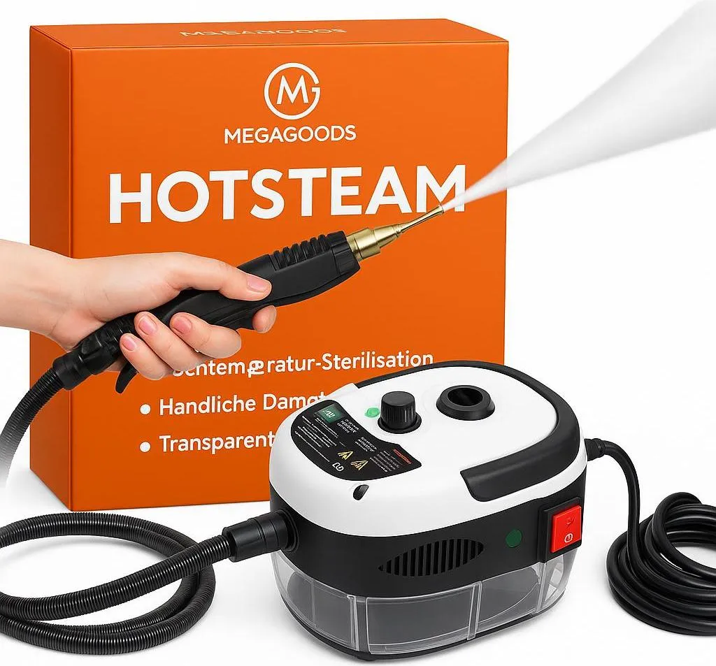 Nettoyeur vapeur portatif multifonction pour entretien maison et auto