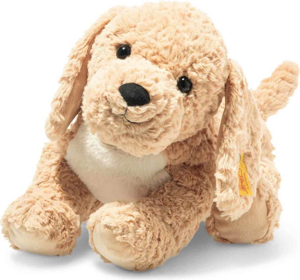 Steiff Berno Goldendoodle 36 beige 067075 Immagine del prodotto 