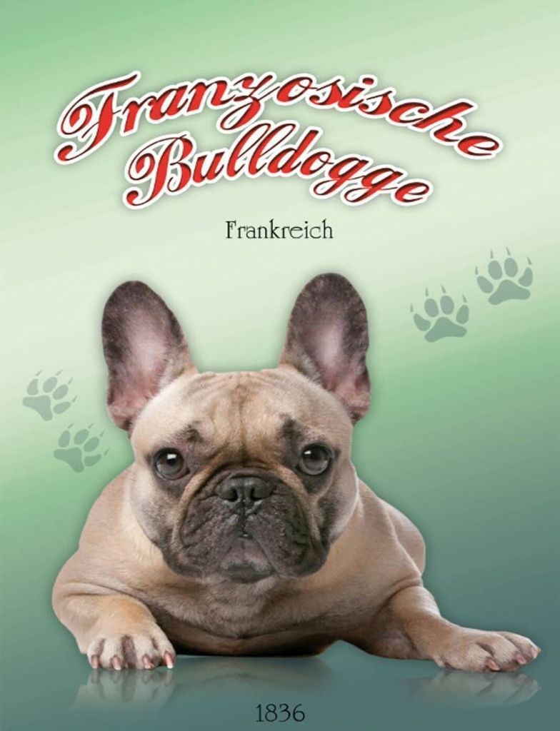 vianmo Holzschild 40x30 cm Hund Französische Bulldogge