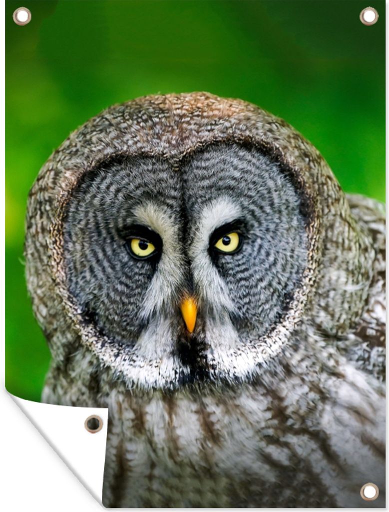 MuchoWow 60x80 cm Outdoor-Poster Gartendeko Sichtschutz Garten Poster für den Garten Vogel - Eule - Tiere - Braun - Porträt