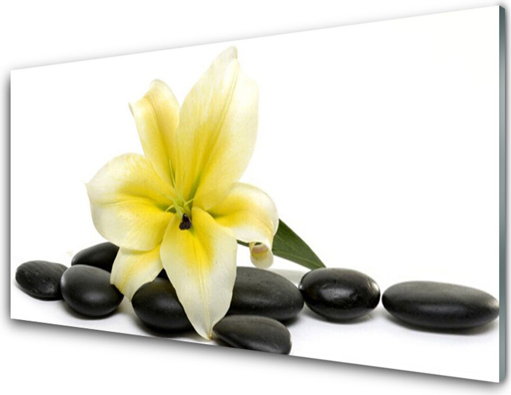 Acrylglasbilder 100x50 Wandbild Druck Blume Steine Kunst