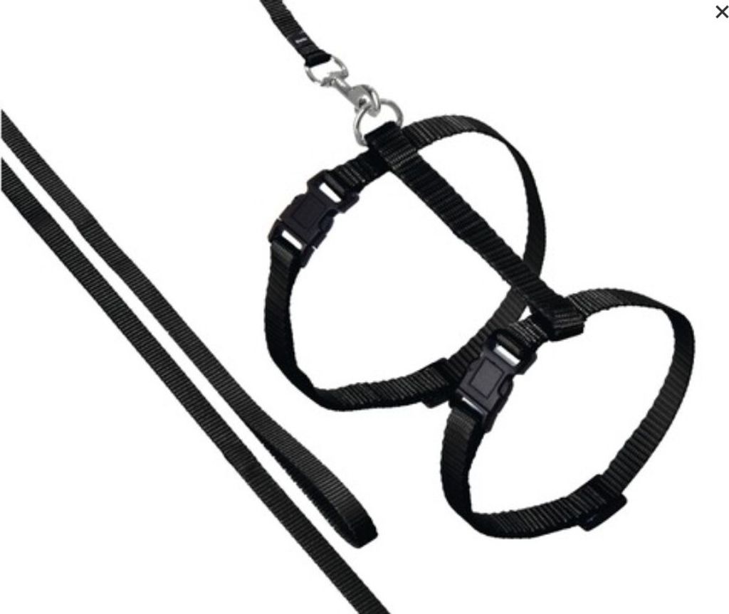 KARLIE Katzengeschirr mit Leine, schwarz, L: 110 cm, B: 10 mm