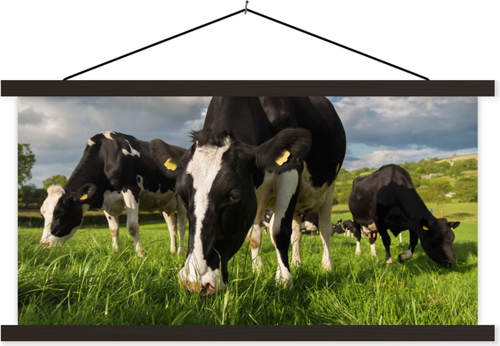 MuchoWow Textilposter Kühe - Tiere - Gras - Wiese - Bauernhof 60x30 cm mit schwarzem Rahmen - Textilien