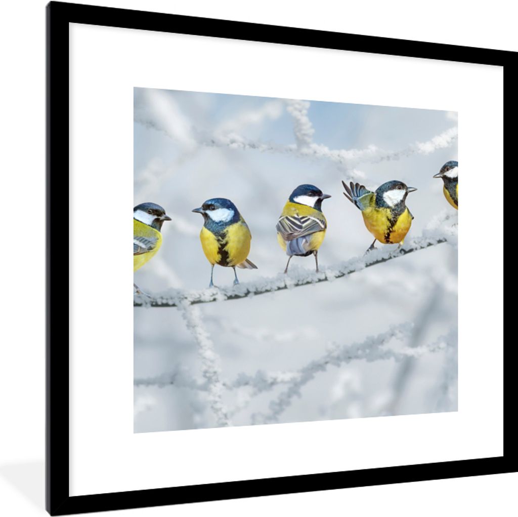 MuchoWow Gerahmtes Poster Vogel - Kohlmeise - Winter - Schnee - Zweige 40x40 cm - Poster mit Schwarzem Bilderrahmen Wandposter Rahmen Foto Bilder...