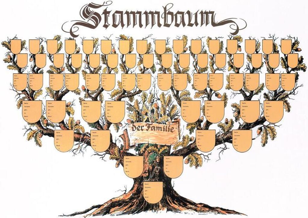 Stammbaum Schmuckbild