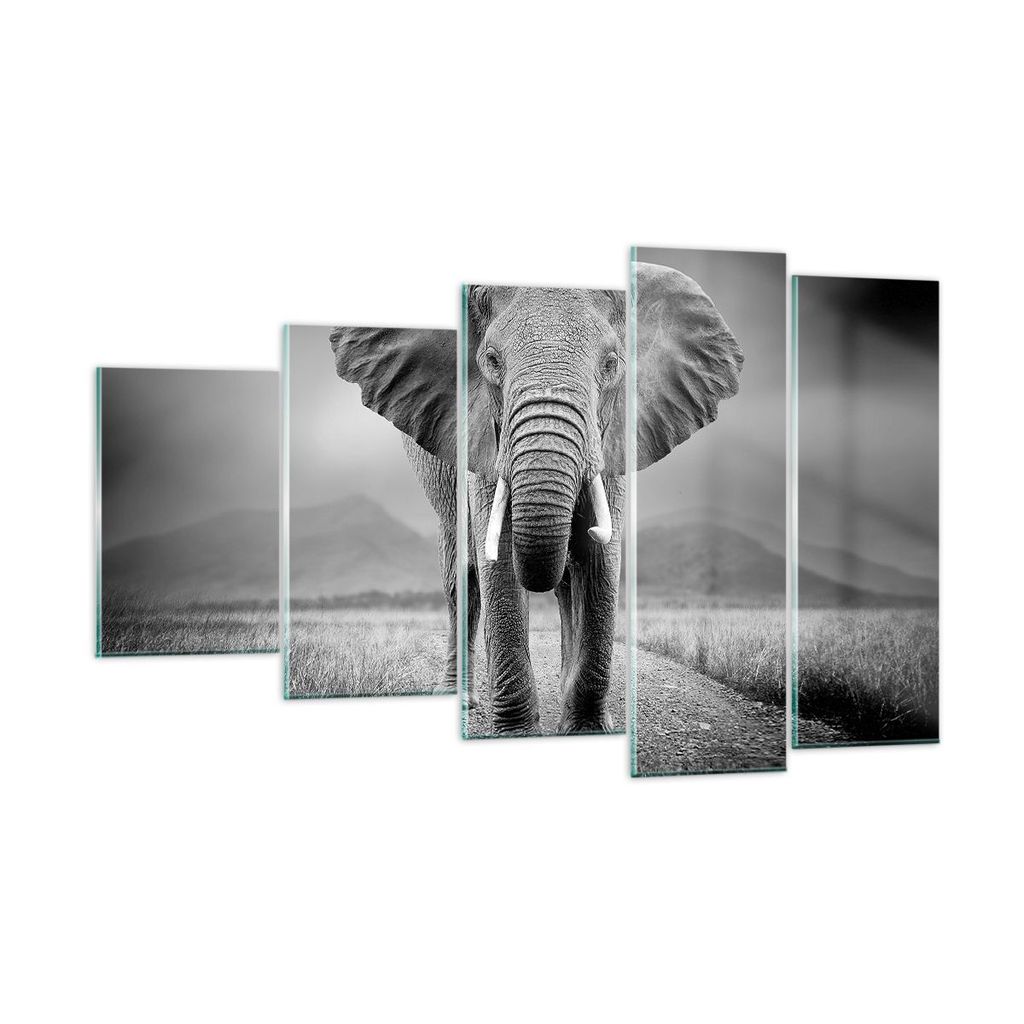 Bilder auf glas - 5 Teile - Elefant Wildnis Natur - 100x60cm - Glasbilder - Wandbilder - Bilder - zum Aufhängen bereit - Wanddekoration aus Glas -...