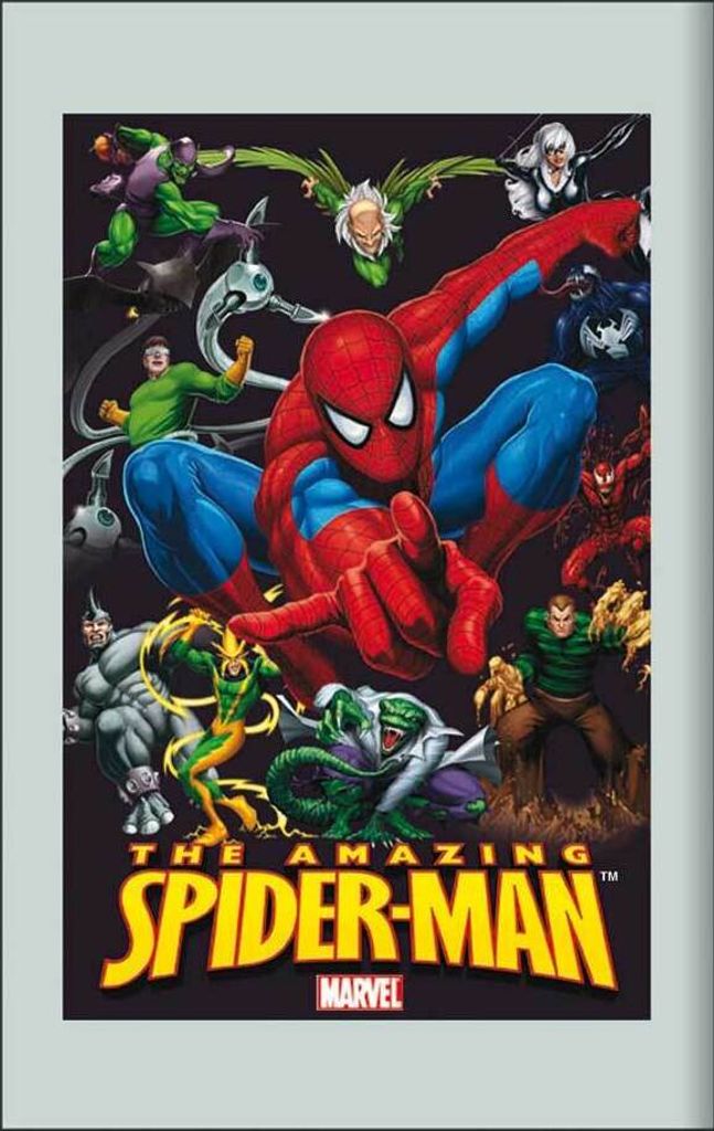 KS228 Spider-Man - Marvel Held - Bedruckter Spiegel