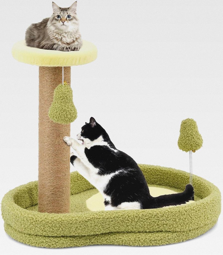 Kratzbaum Klein, 50cm hoch, Katzenbaum im Avocado-Optik, Katzenkratzbaum mit Katzenbett & Federspielzeug & Sisal-Kratzpfosten, Katzen Katzenmöbel ...