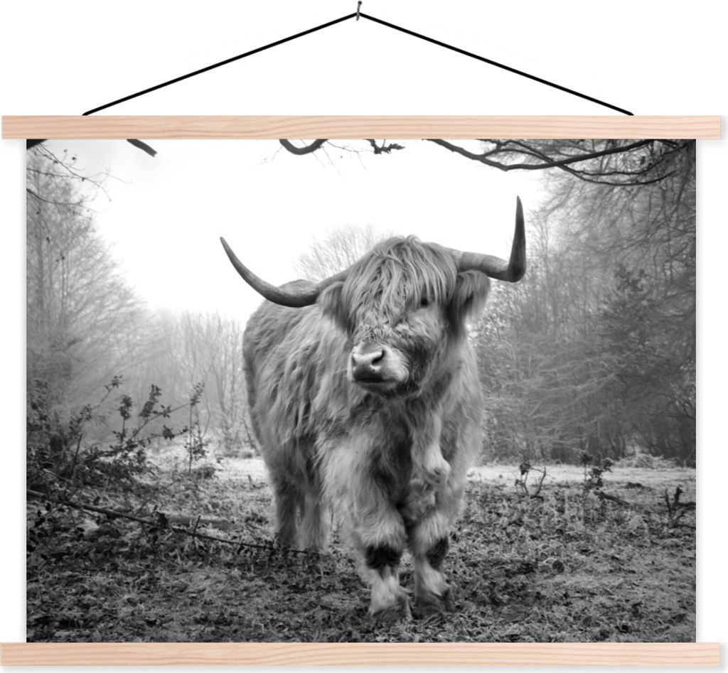 MuchoWow Textilposter Schottische Hochlandrind - Natur - Herbst - Tiere - Wildtiere - Wald 40x30 cm mit holzfarbenen Rahmen - Bilder