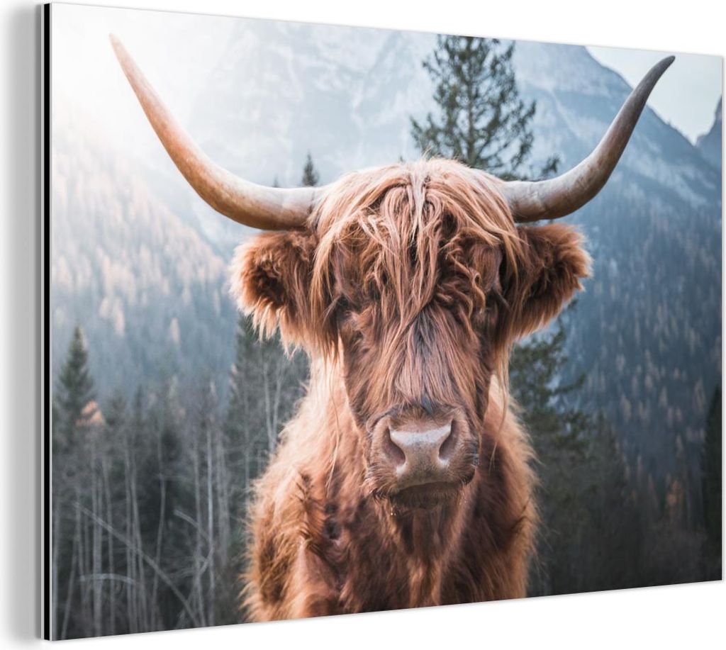MuchoWow Wanddekoration Metall Metallbild Wandkunst 30x20 cm Schottisches Hochlandrind - Kuh - Tiere - Berg - Natur MuchoWow Aluminium Gemälde - A...