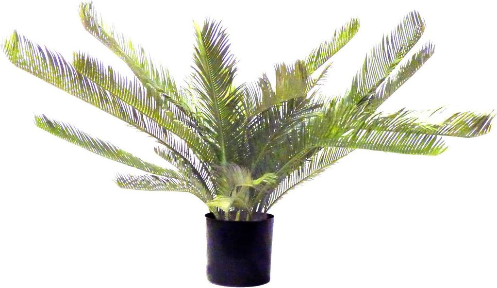 Kunstpflanze Palme Cycas revoluta H 90 cm