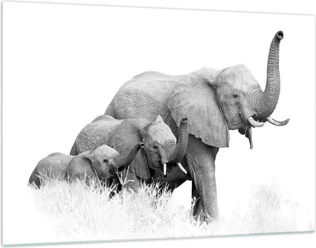 Bilder auf glas - Einteilig - Elefanten Familie Schwarz und Weiß - 120x80cm - Glasbilder - Wandbilder - Bilder - Wanddekoration aus Glas - Glas Bi...