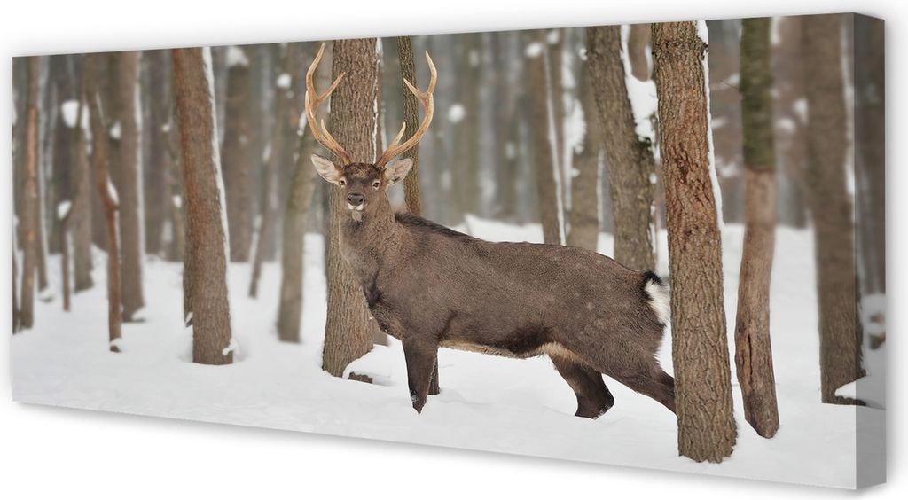 Leinwandbild 125x50 Wandkunst Deer Winterwald