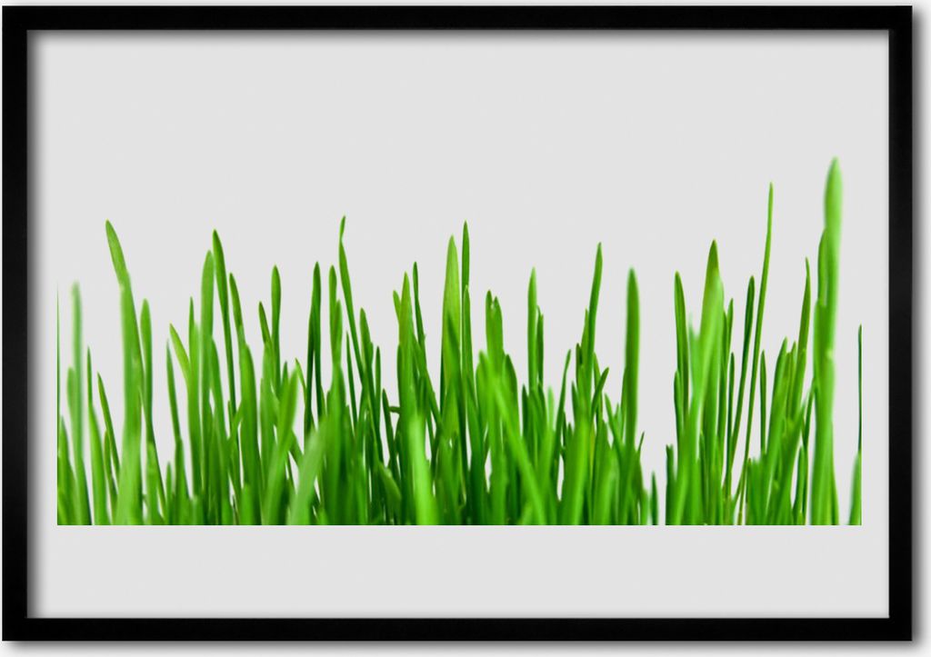 Bild 70x50 MDF-Rahmen Wandkunst Gras Natur Pflanze