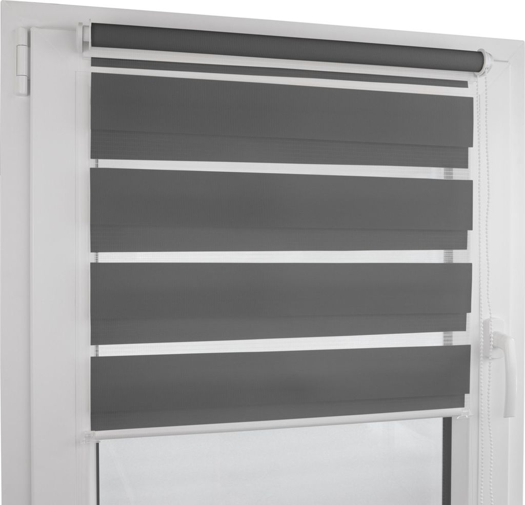 Doppelrollo (55 x 200 cm, Anthrazit)