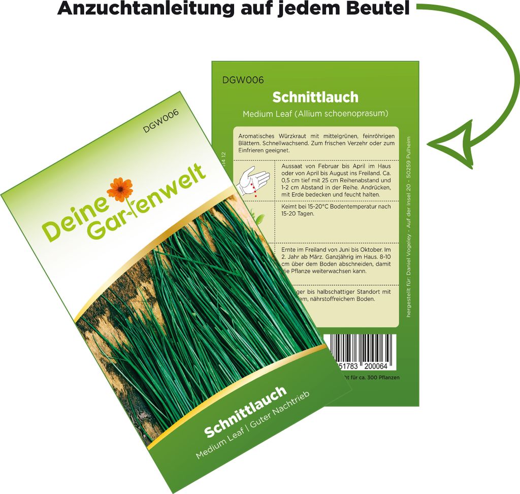 Schnittlauch Polyvert Samen - Allium schoenoprasum - Produktbild 3
