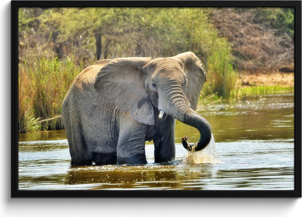 MuchoWow® MuchoWow® Gerahmtes Poster Elefant - Wasser - Produktbild 